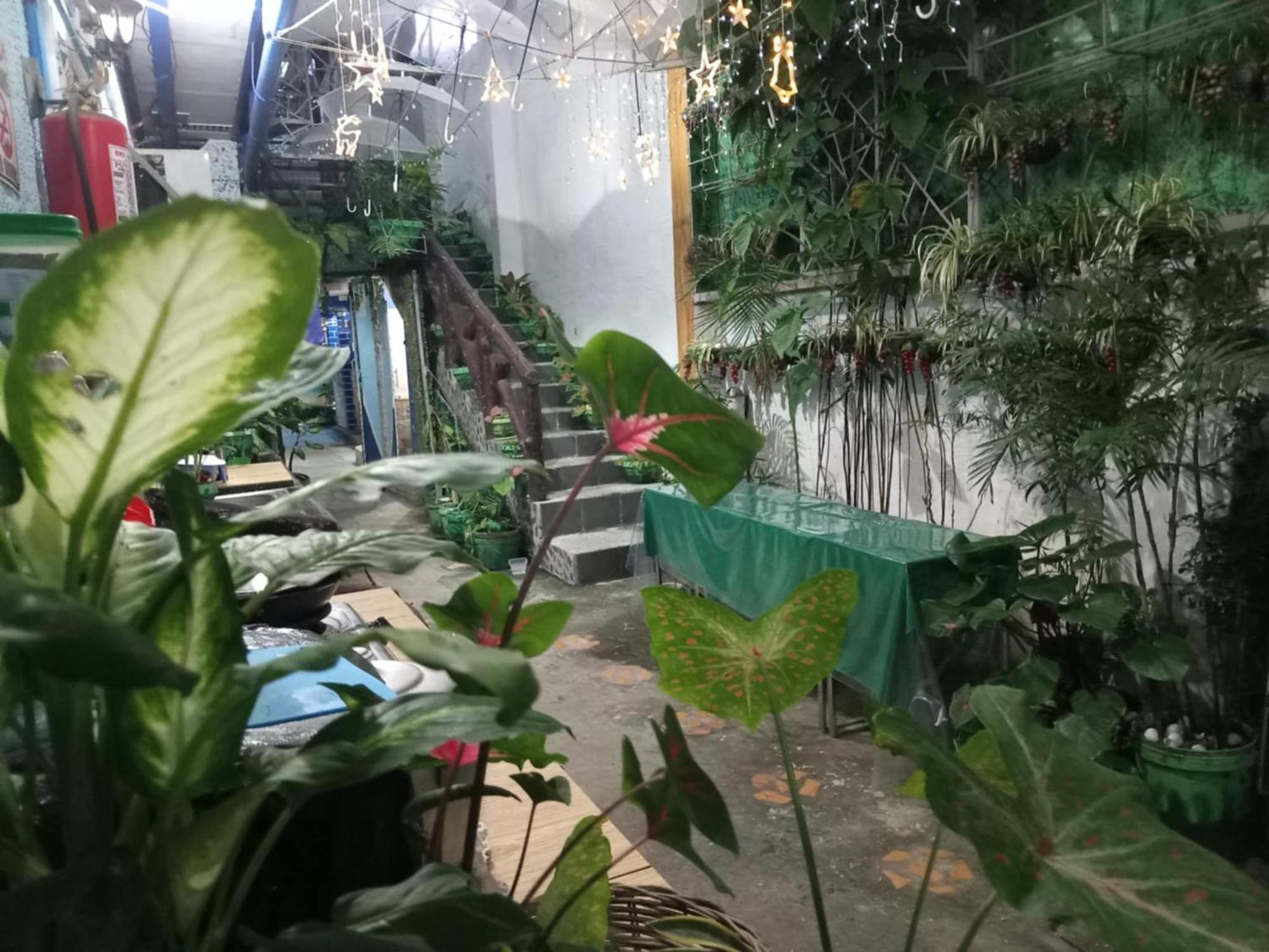 Daniela'S Place Angeles Εξωτερικό φωτογραφία